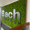 Logo "Bach Gruppen" på væg med grøn mosbaggrund og ramme, der giver et naturligt udtryk.