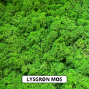 Nærbillede af lysgrøn mos med tekst "LYSGRØN MOS" nederst på billedet.