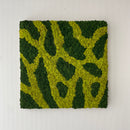 Mos firkant - 2 farver, 50x50 cm. - Restsalg