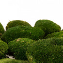 Naturgrøn pudemos.