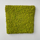 Limegrøn mos firkant 50x50 cm. - Restsalg
