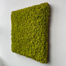 Limegrøn mos firkant 50x50 cm. - Restsalg