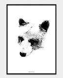 Bear Eyes A3 - Bear Eyes A3 - Fredstegn