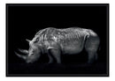 Mrs. Rhino A3