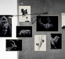 Mr. Antlers A3