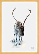 Clean Nature Rensdyr 30x40 - Clean Nature Rensdyr 30x40 - CT