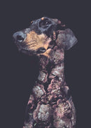 Flower Portraits Doberman A5