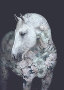 Flower Portraits Hest A5