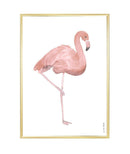 Flamingo A5
