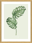 Heaven on 3rd Monstera 30x40