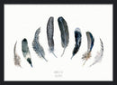Otte grå fjer A5