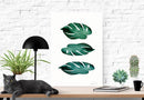 Tre monstera blade 30x40