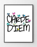 Plakater med Carpe Diem er lavet i Limited Edition a 100 stk. -  På dette foto er plakaten ikke blevet præget.