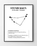 Plakater med Stenbukken er lavet i Limited Edition a 100 stk. -  På dette foto er plakaten endnu ikke blevet præget.