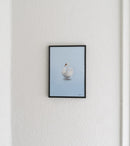 svane│original 50x70