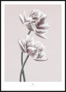 To lyserøde tulipaner mod en rosa baggrund med hvid kant og Secret Garden-logo nederst.